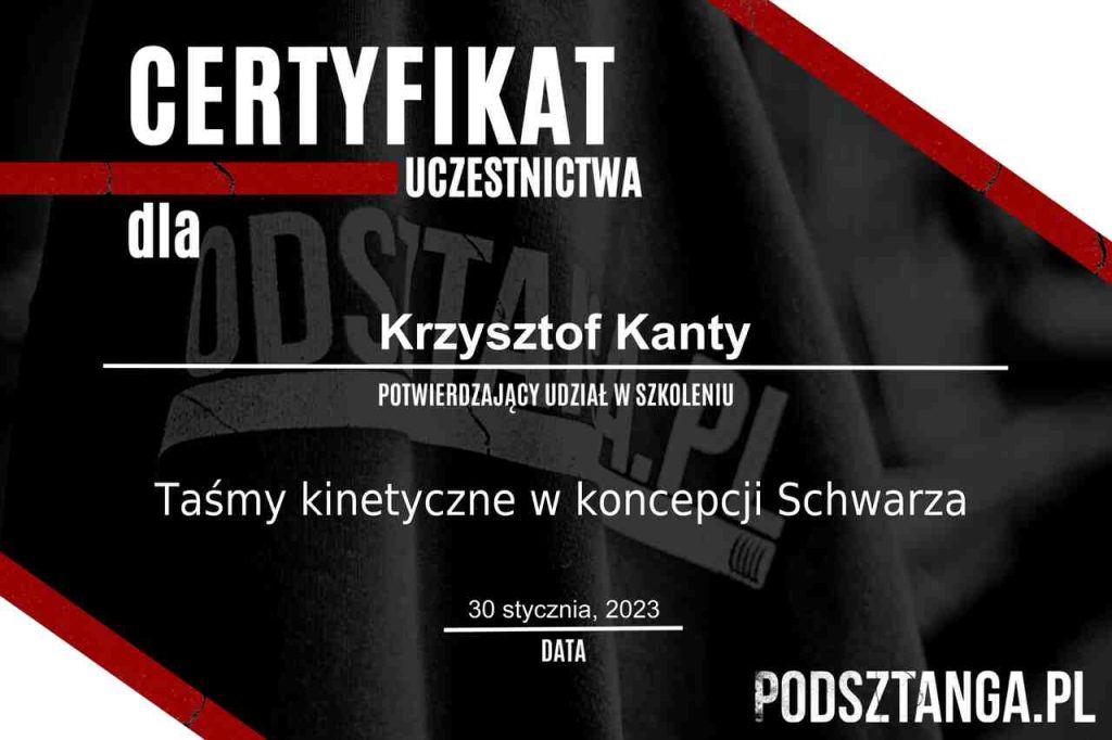 Tasmy kinetyczne w koncepcji Schwarza